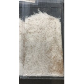 Unbranded Brine Shrimp Eggs and Salt Hatch Mix - 90% hatch rate - 1/2 pound