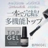 PRE GEL Non-Wipe Clear Top Gel 12g