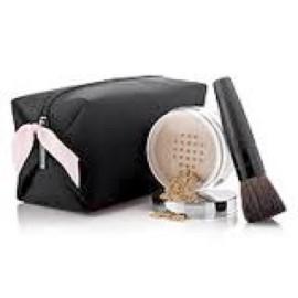 Mary Kay Travel Cosmetic Bag, empty (NWT)