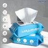 Waywewipe Flushable Wet Wipes, 6 Pack - 60 Wipes Per