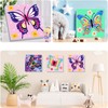 Pack of 4 Butterfly Painting by Numbers from 5 6