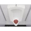 Vectair Systems Wee-SCRN Clove Wee Urinal Screen - Clove &