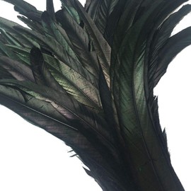 Shekyeon 12-14inch Rooster Tail Feather Use for Hats Costume Decoration (black) by Shekyeon