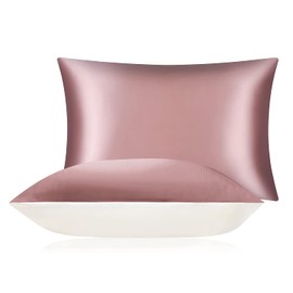 DISANGNI 100% Mulberry Silk Silk Pillowcase, Used for Hair and Skin, Envelope Type, Silk on one Side and Tencel on The Other Side (1pc Queen Size 20" x30" Pink)