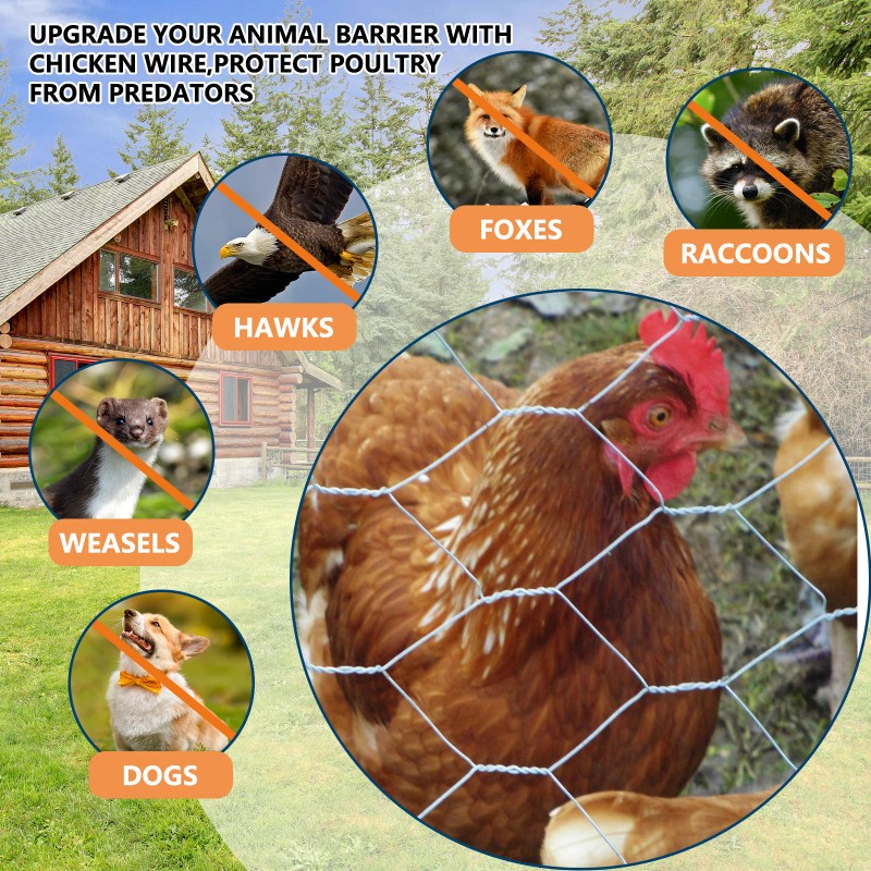 Chicken Wire Fencing Mesh Outdoor Anti-Rust Hexagonal Galvanized Mesh, Garden
