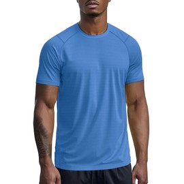 Mens Workout Shirts Dry Fit(Blue,L)