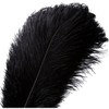 10pcs Natural Ostrich Feather Craft 16-18inch(40-45cm) Plume for Wedding Centerpieces Home Decoration (16-18inch,Black)