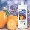 Spitzner Sauna Infusion 'Lavender' Kumquat (1000 ml)