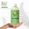 Shampoo De Aguacate Reparador Productos Mart Mexico 500 Ml