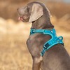 Dog Harness No Pull Adjustable Reflective Step-in Soft Nylon For