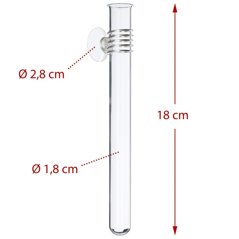 corpus delicti :: Rosie - Single Flower Vase - Test