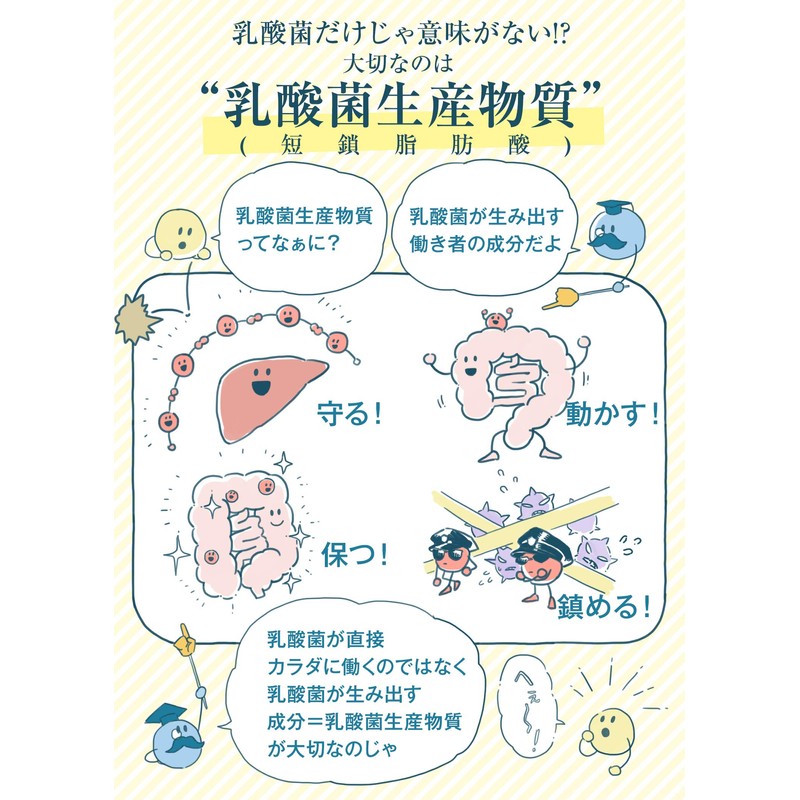 乳酸菌革命 3セット 乳酸菌サプリメント 3大乳酸菌 ビフィズス菌 ラブレ菌 ガセリ菌 1粒に16種500億個の乳酸菌 30日分