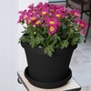 Bloem Terra Pot Planter (TR1000), Black, 10"