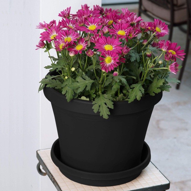Bloem Terra Pot Planter (TR1000), Black, 10"