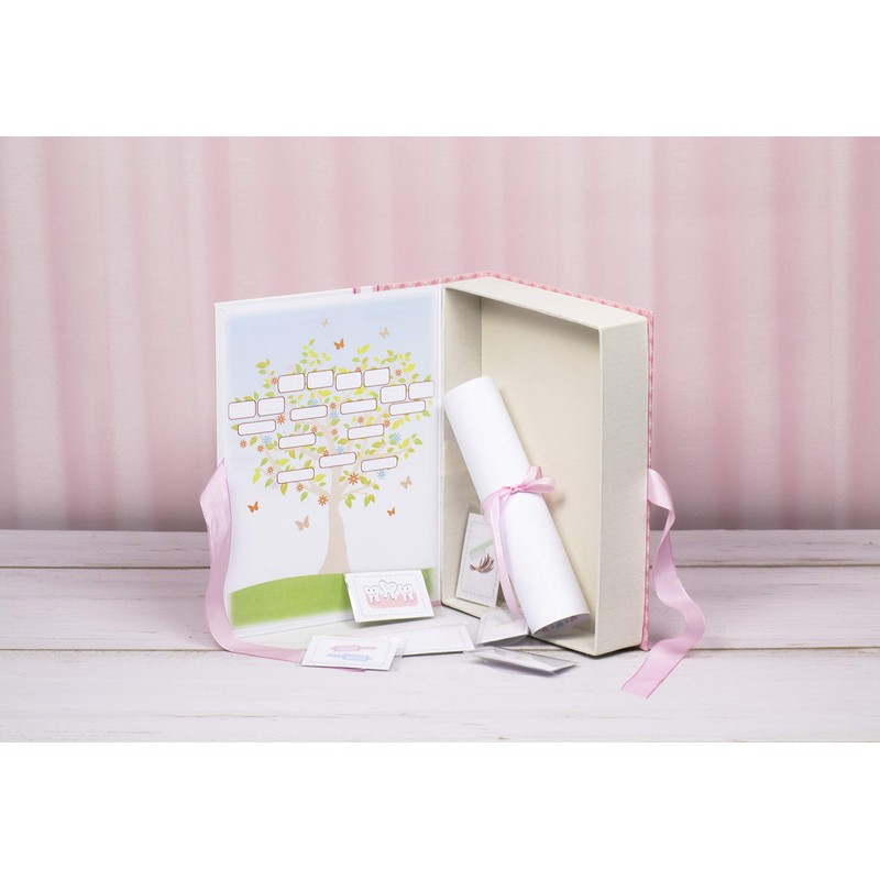 Newborn Baby First Memories Box Gift Pink Shoes