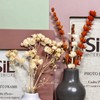 Dried Flowers Multi Photo Frame On Stand Matt Blush Pink