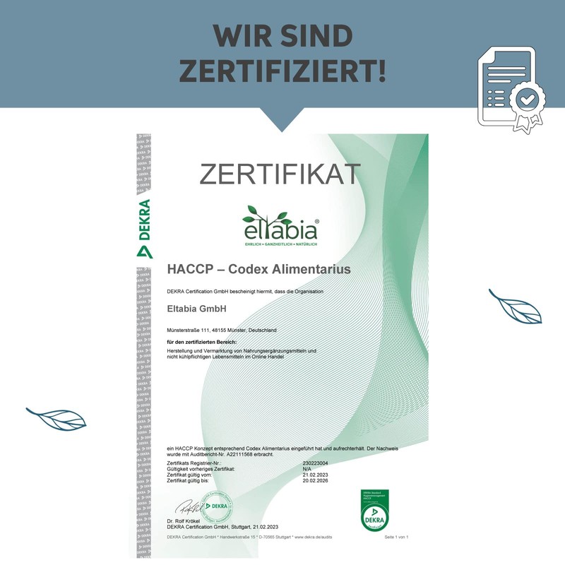 Magnesiumcitrat Kapseln 500 Stück | Hochdosiert 300mg Tagesdosis elementares Magnesium