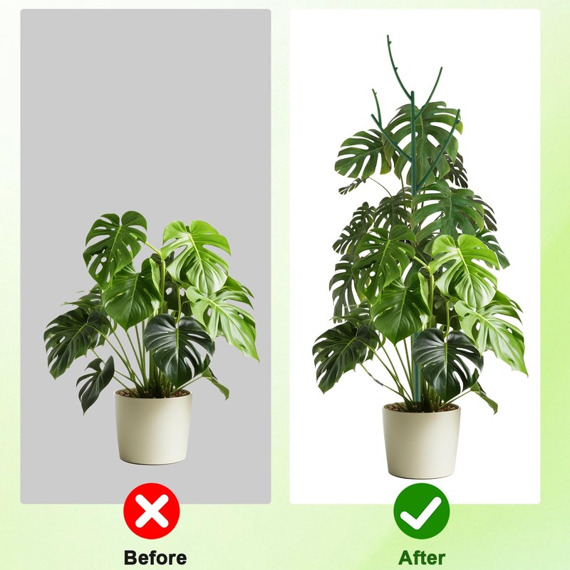 PERSZEN 6 Pack Stackable Monstera Plant Support, Plant Stakes for