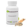 Eleutherococcus (Siberian Ginseng), 500 mg/60 Capsules, Titrated to 0.8% in