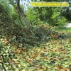 Gassnake Forest Landscapes Camouflage Net Camouflage Net Hunting Outdoor, multicolour