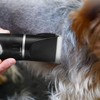 Pet Shaving Kit Multi Functional Shaver Cat Dog Grooming Hair