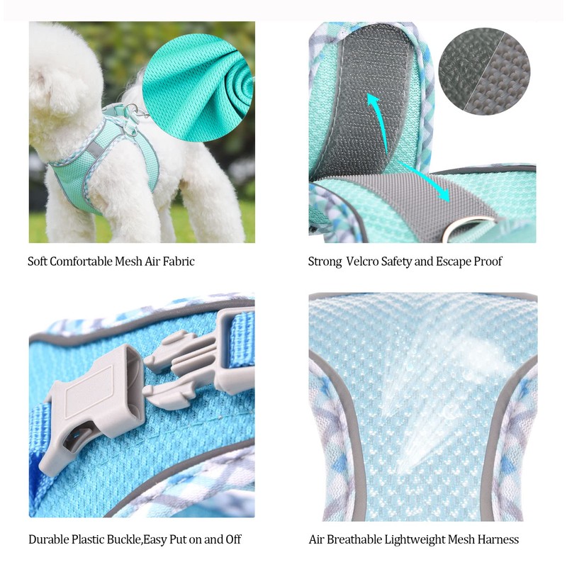 BTDCFY Step in Mesh Dog Harness and Leash Set Breathable