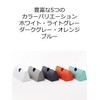 Iwatani Material Plastic Bag Case Eye Wrap Case Light Gray