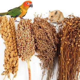 Fhiny Natural Hamster Bedding, Edible Hamster Sprays Flowers & Herbs Gerbil Habitat Enclosure Decor Grain Treats Cage Accessories for Dwarf Syrian Hamster Gerbil Mice Lemming Degus