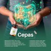 Probióticos 30 Billones, 10 Cepas, Apoyo Inmune Bioflora (120 Cápsulas)