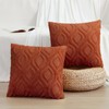 decorUhome Fall Decorative Throw Pillow Covers 18x18, Soft Plush Faux