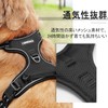Rabbitgoo Dog Harness, Anti-Pulling, Less Burden, Collar, Fitting Without Lifting