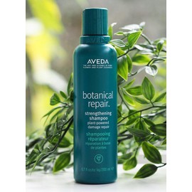 Aveda [AVEDA]아베다 보태니컬리페어 스트레쓰닝 샴푸 컨디셔너 200ml [보태니컬리페어 샴푸 200ml] [AVEDA] Aveda Botanical Repair Strengthening Shampoo Conditioner 200ml [Botanical Repair Shampoo 200ml]