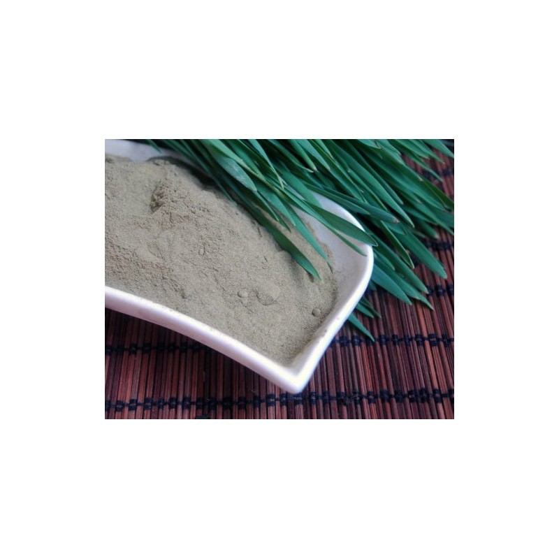 Naturix24 Barley Grass Powder Ground Barley Grass - 100g Bag