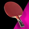 T-Mount Table Tennis Racket Shake-Hand Carbon 5-Ply with Rubber Table Tennis Equipment