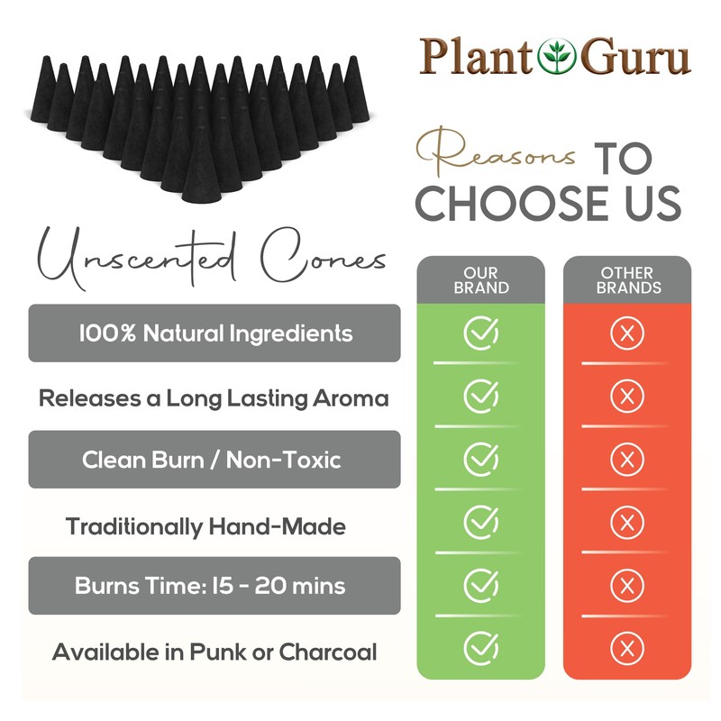 50 Unscented Charcoal Incense Cones 1" TOPFLOW - 100% Natural