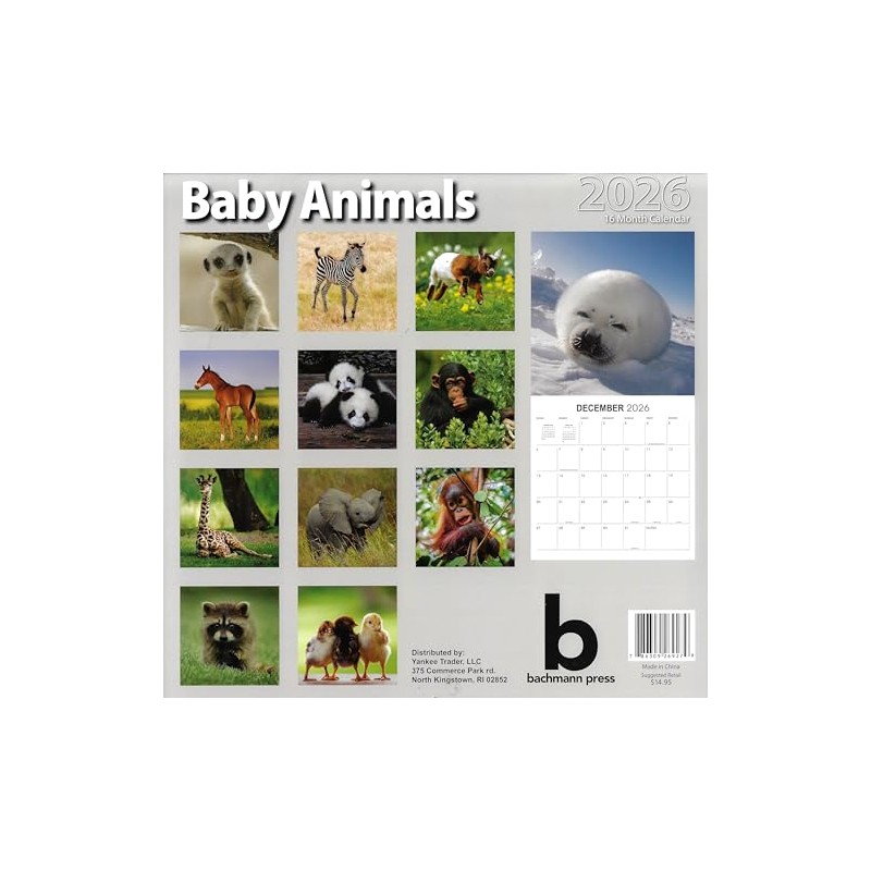 2026 Baby Animals Full Size Wall Calendar for Planning, Scheduling,