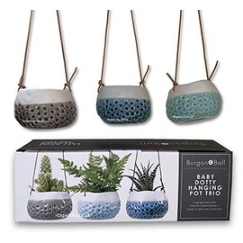 Burgon & Ball 'Baby Dotty' Trio Hanging Pot in Gift Box