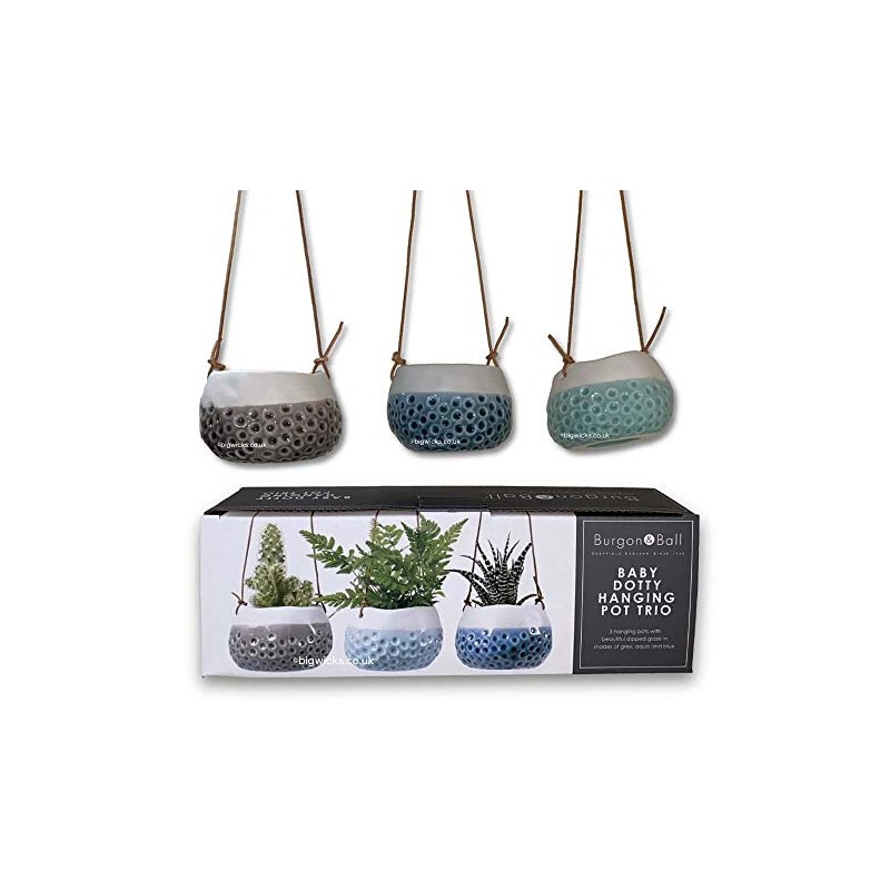 Burgon & Ball 'Baby Dotty' Trio Hanging Pot in Gift