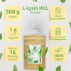 Bio Protect BV L-Lysine Powder 500 g without Additives 100%