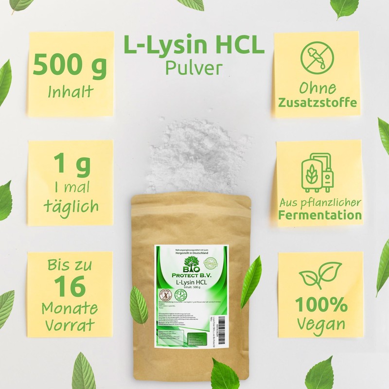 Bio Protect BV L-Lysine Powder 500 g without Additives 100%