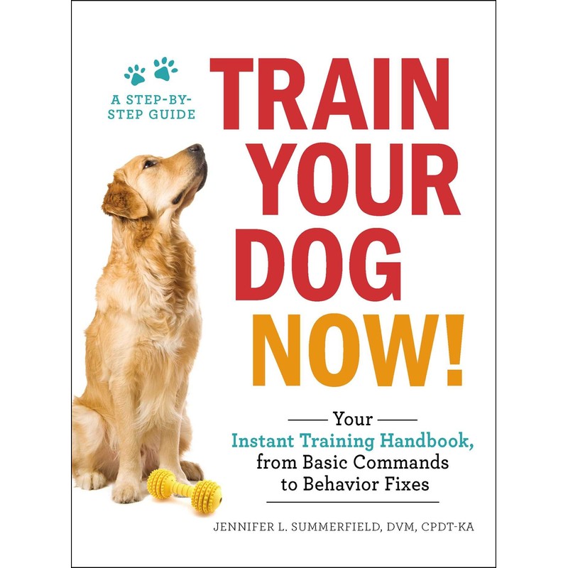 Train Your Dog Now!: Your Instant Training Handbook, from Basic