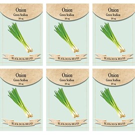 Set of 6 Vegetable Seed Packs - Create a Deluxe Garden - All Seeds are Heirloom - 100% Non-GMO (Onion Green Scallion)