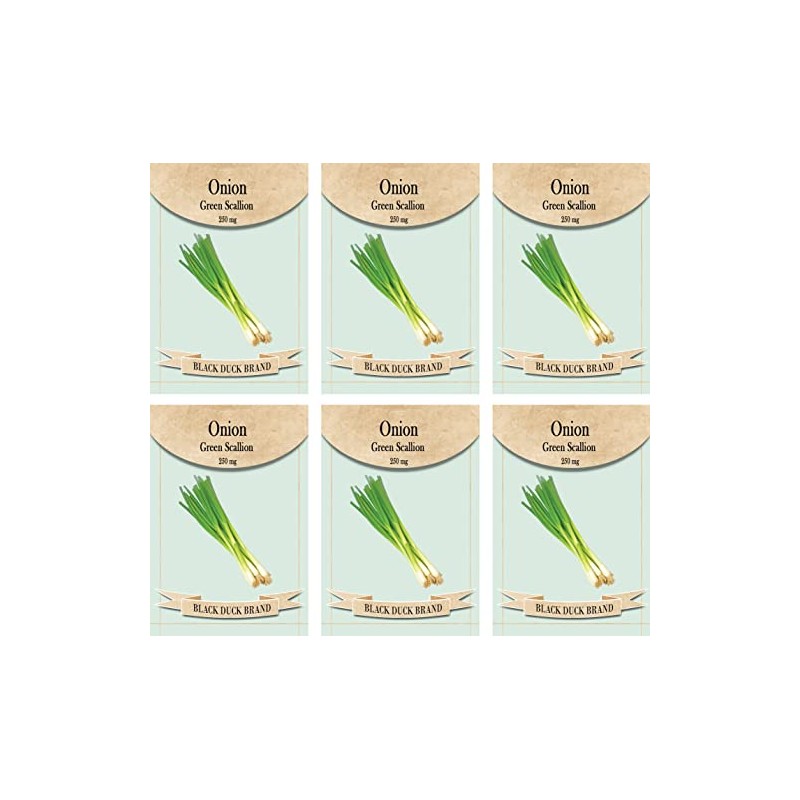Set of 6 Vegetable Seed Packs - Create a Deluxe