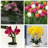 Joyhalo 12 Pack Plant Support Stakes 24 Inch, Plant Stakes,