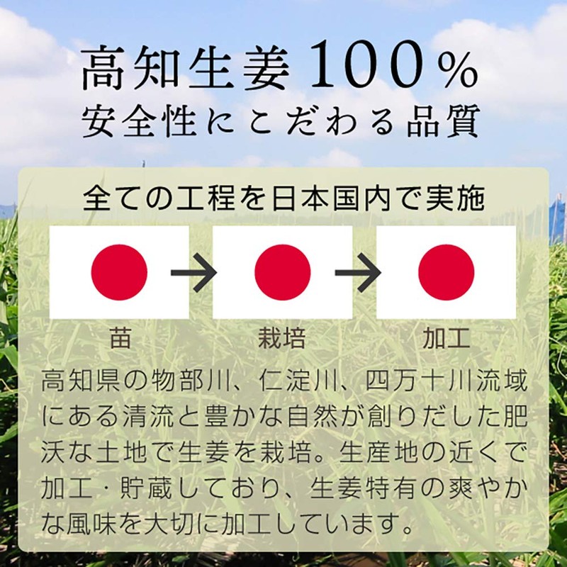 nichie 国産 しょうが パウダー 高知県産 生姜 100g