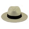 Panama Hat DE