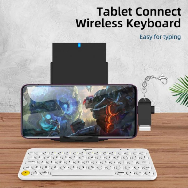 2-in-1 OTG Adapter - USB C & Micro USB to