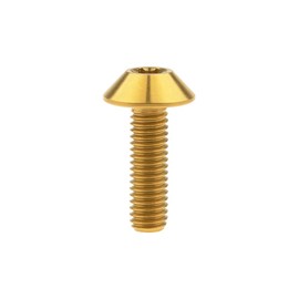 Ruifu Titanium Alloy Torx Bolts M6x12 15 0.8 inch (20 mm) Bicycle Motorcycle Wheel License Plate Mounting Bolts Set of 5 (Gold, M6x15mm)
