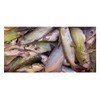SUKI Gizzard Catfish Bait - 1 Gallon