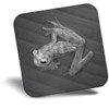Destination Vinyl ltd Fridge Magnet bw - Glass Frog Jungle